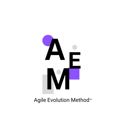 Agile doesn't work; introducing Agile Evolution Method